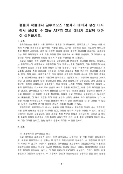 양발 효율에 대하여 .